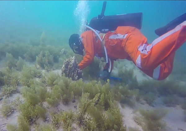 首页- 人生就是博中国官方网站