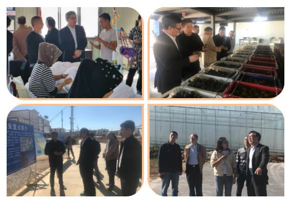 首页- 人生就是博中国官方网站