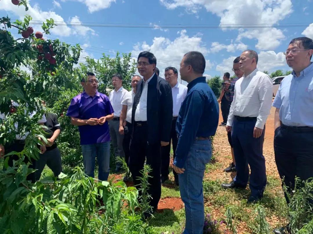 首页- 人生就是博中国官方网站