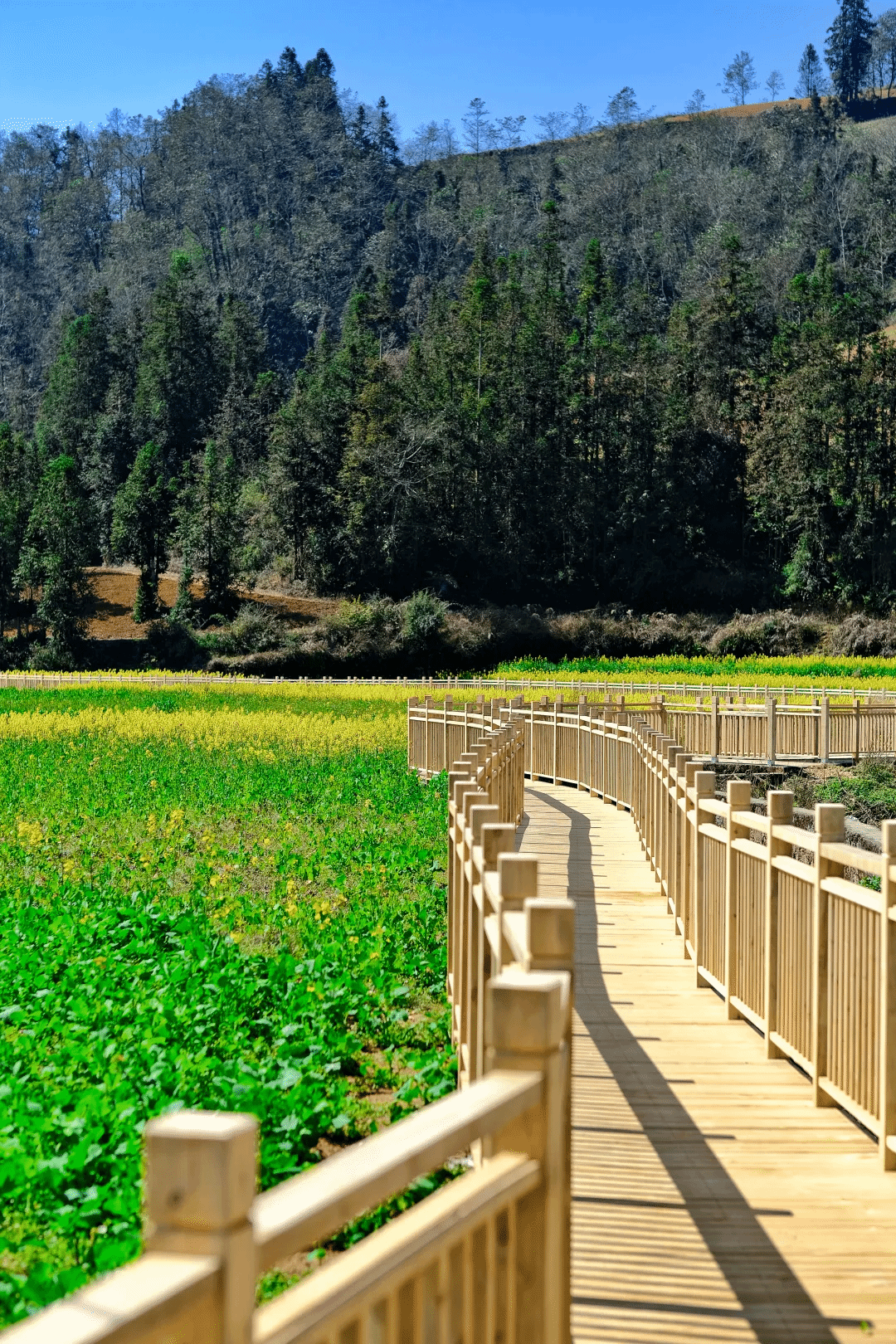 首页- 人生就是博中国官方网站