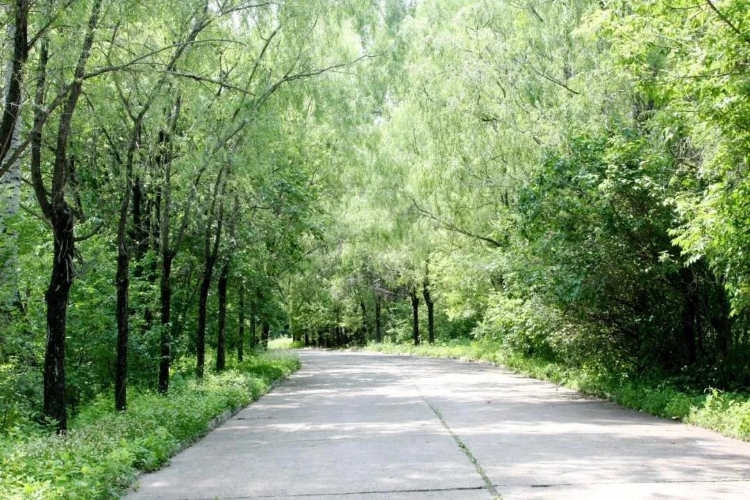 首页- 人生就是博中国官方网站