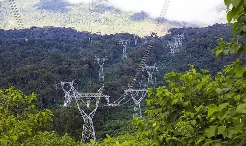 首页- 人生就是博中国官方网站